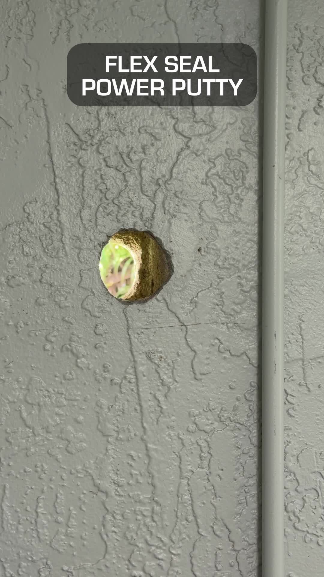@Flex Seal