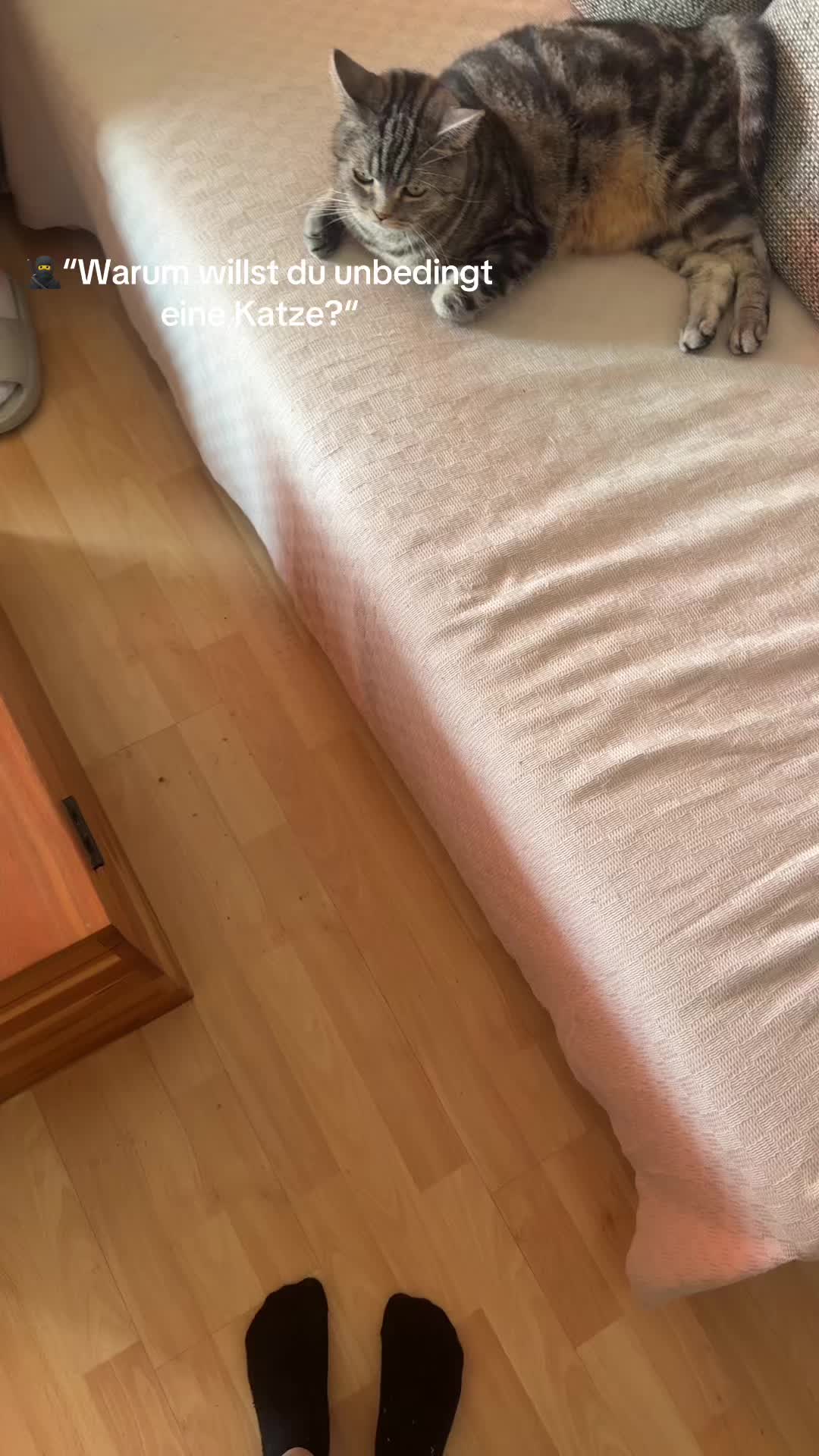@🌺