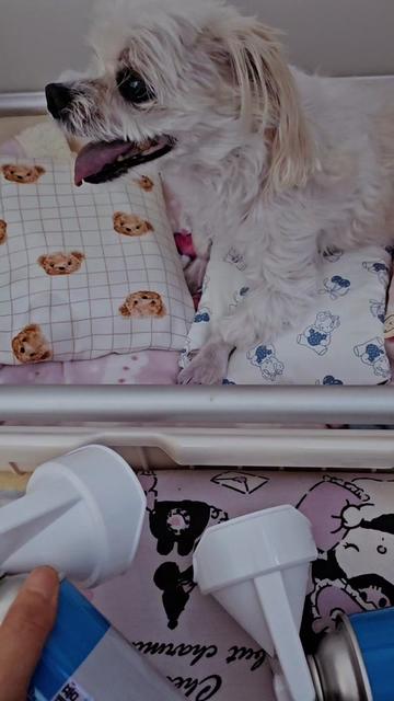 @아콩맘♡