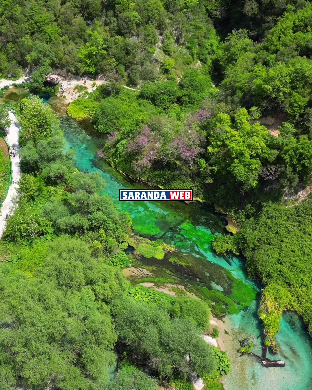 @Saranda Web