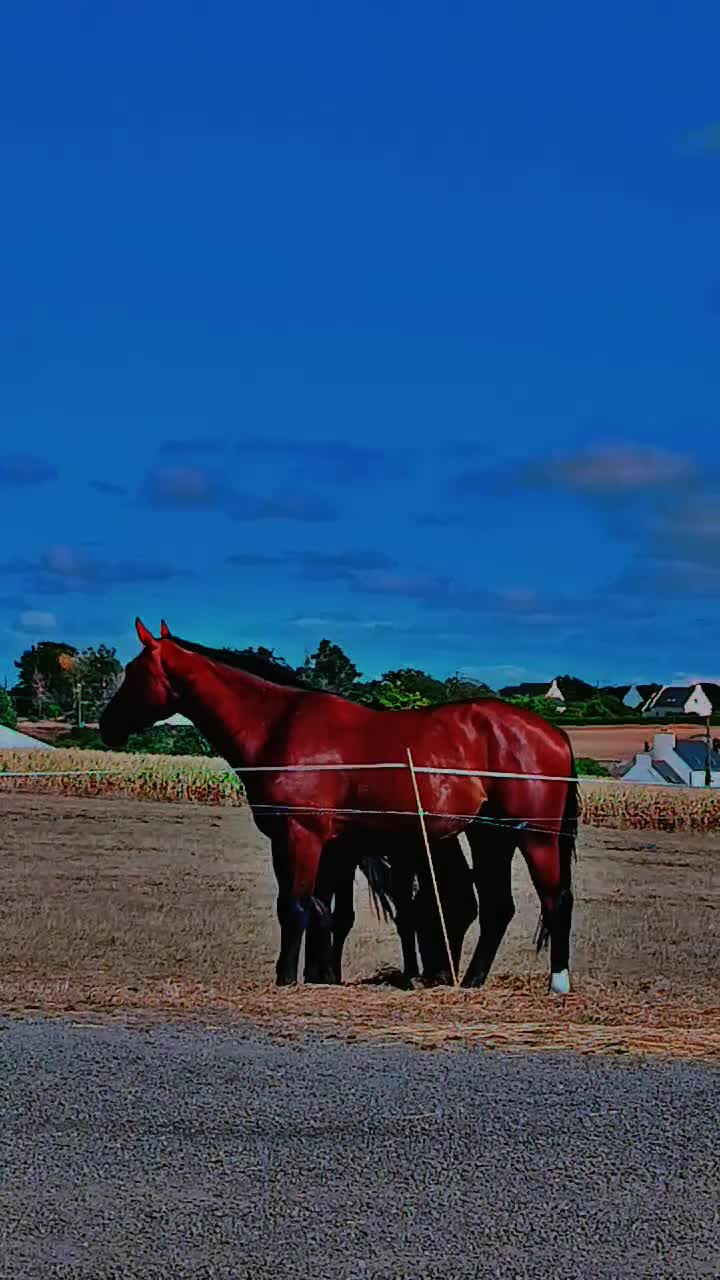 @𝓢𝓪𝓷𝓭𝔂 𓆩დ𓆪 ⋆
