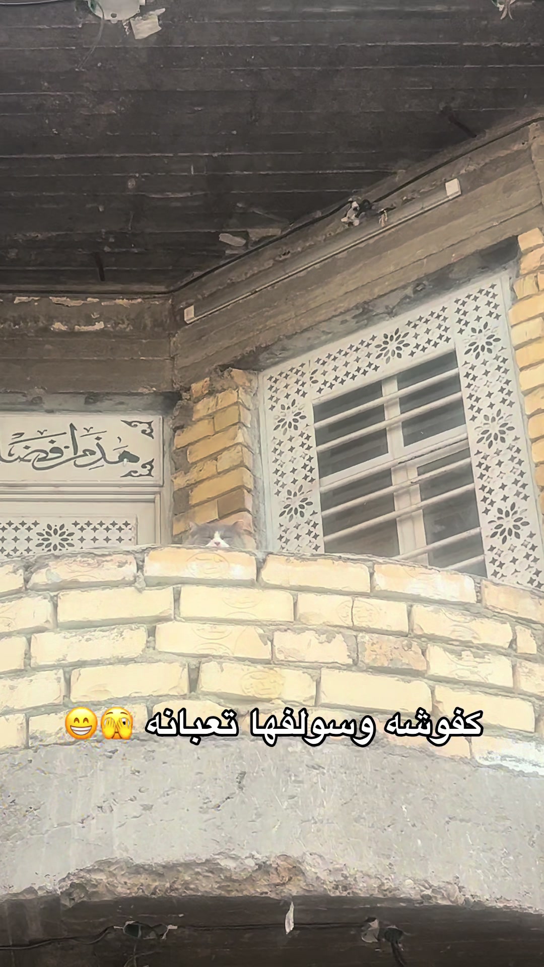 @: ᷂زهرَاءُ ༯ .