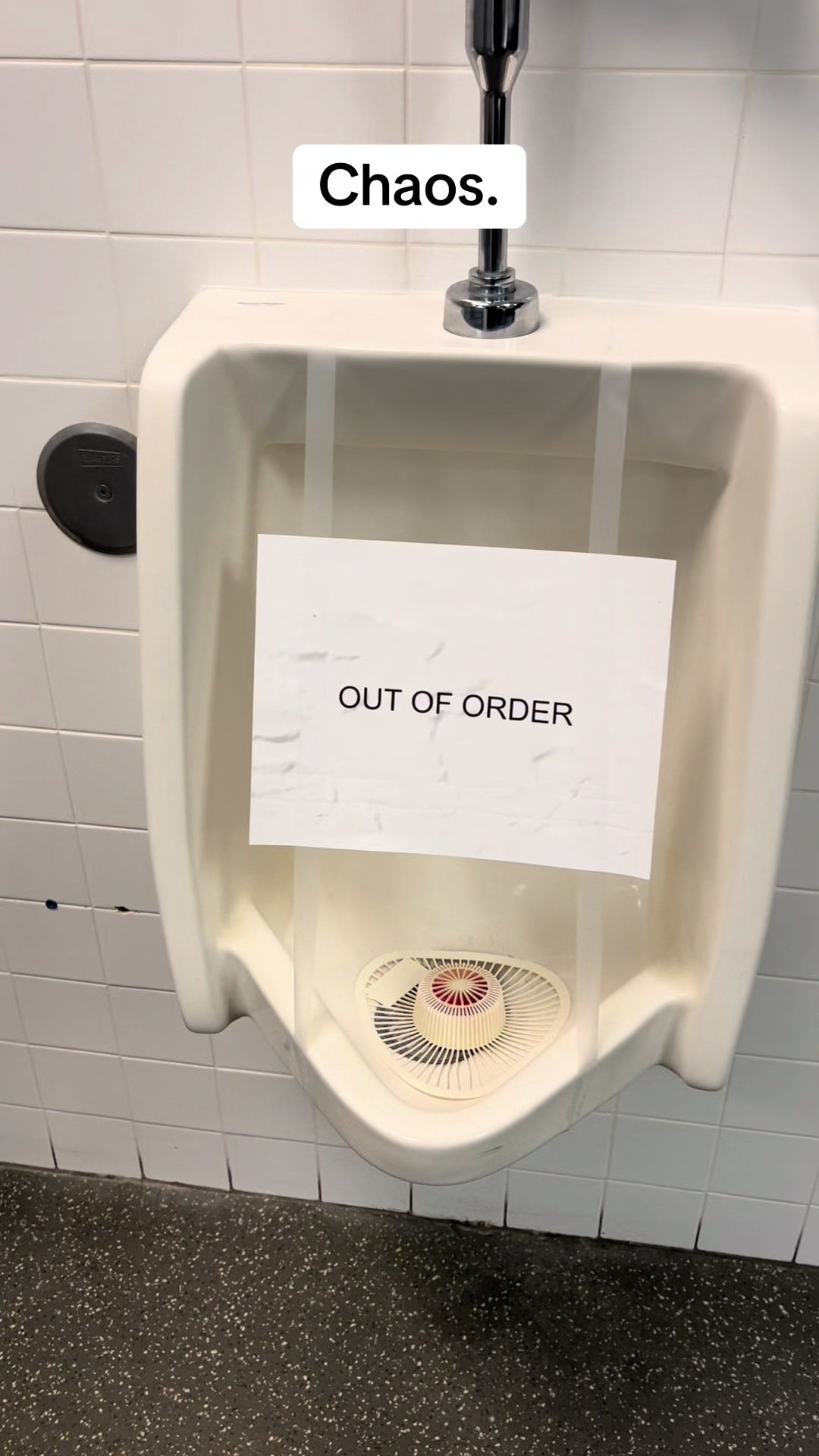@JNG