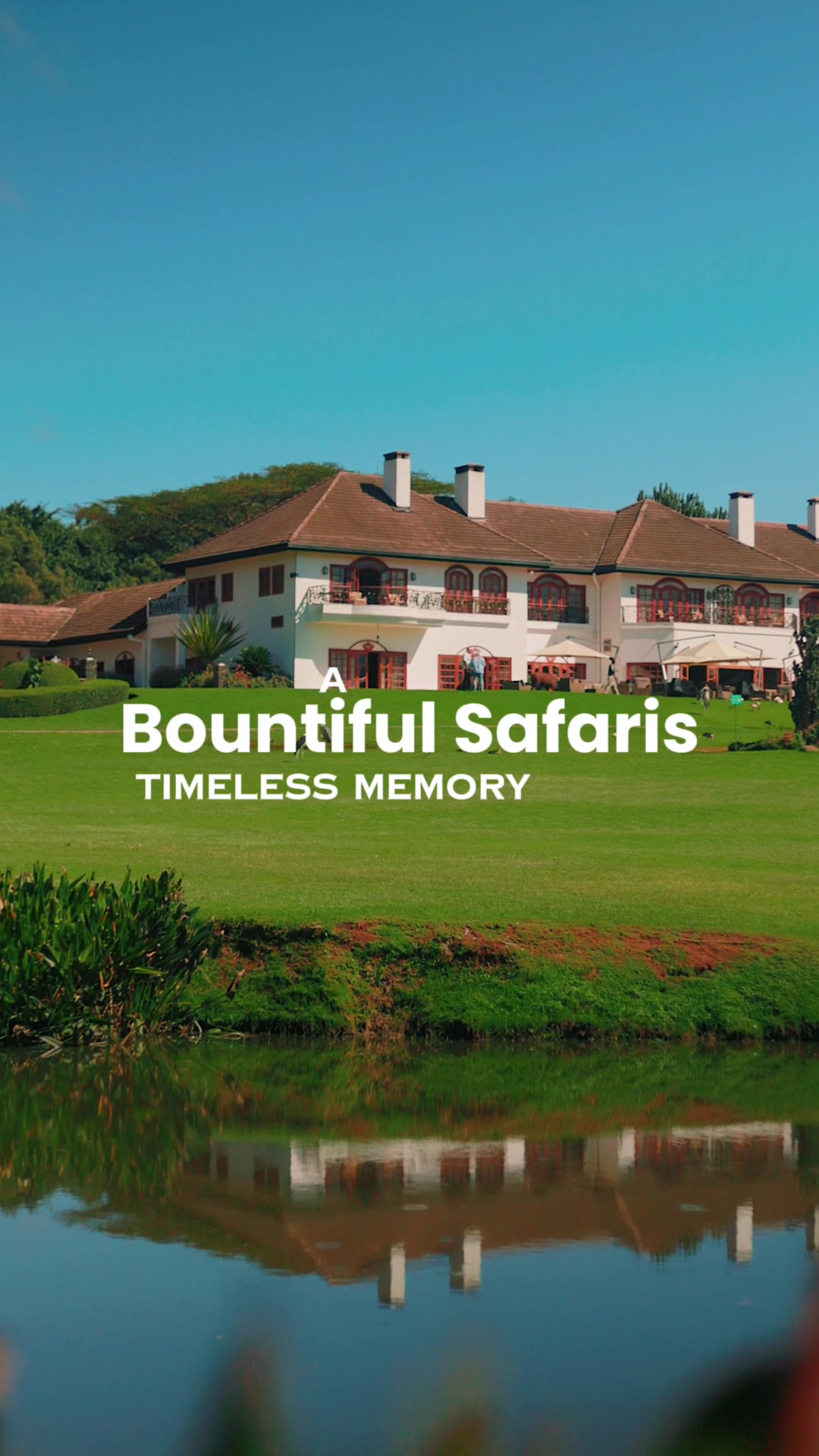 @Bountiful Safaris | Travel