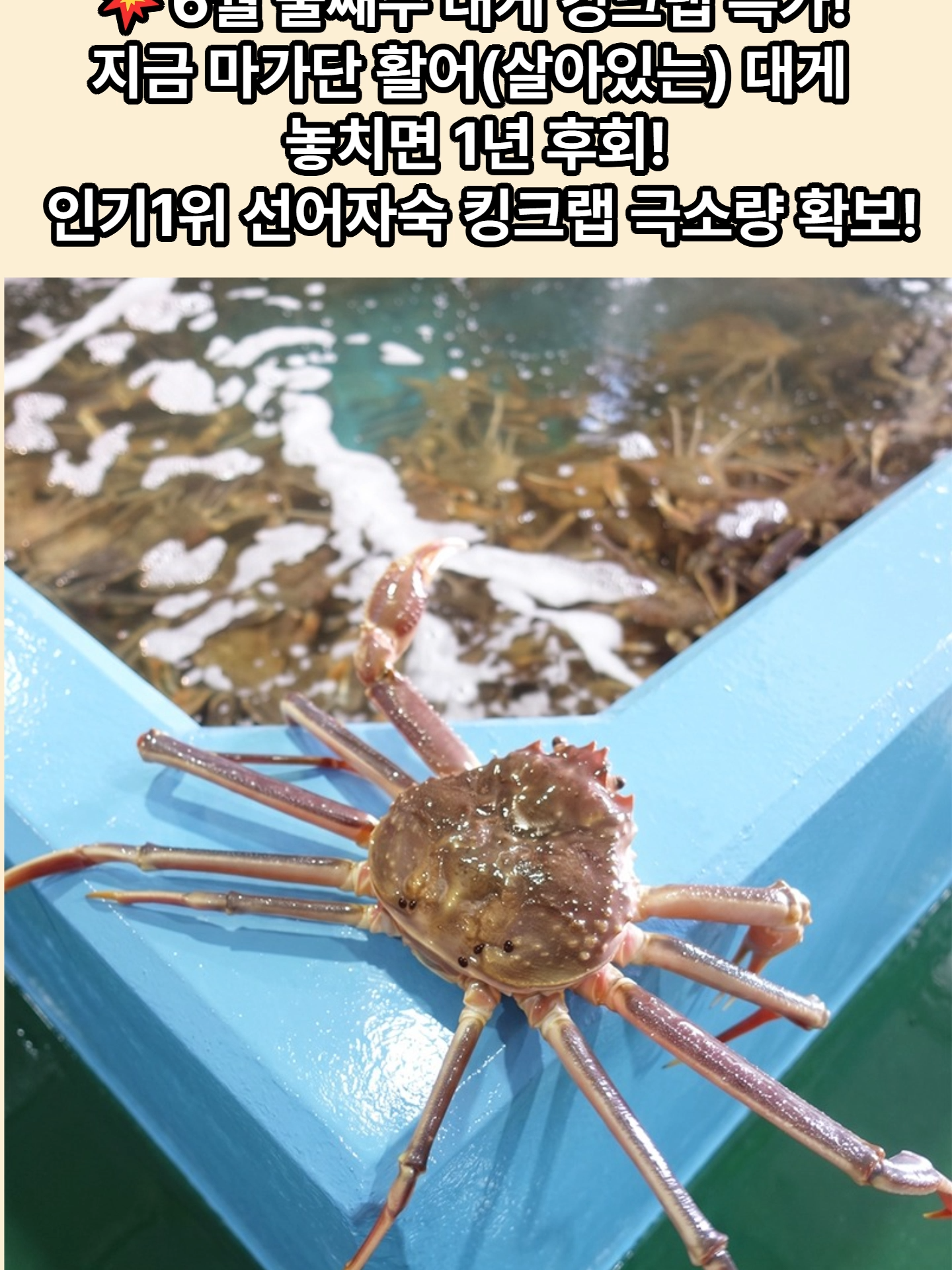 @킹크랩 대게 동해수산유통