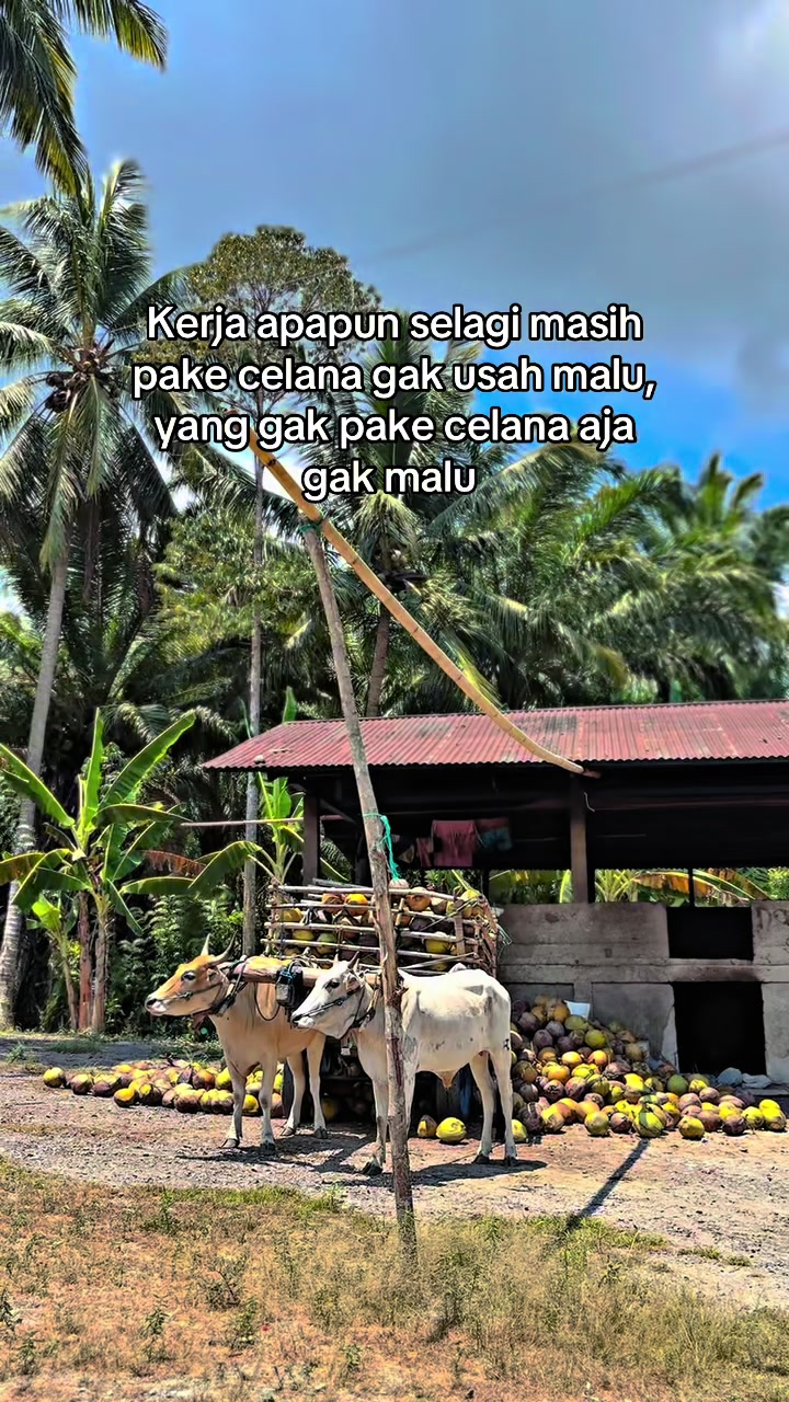 @Karriting