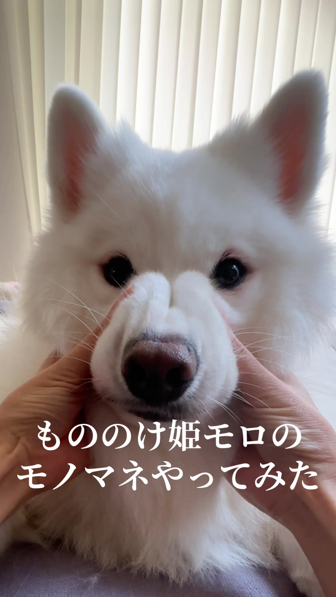 @とろふわ