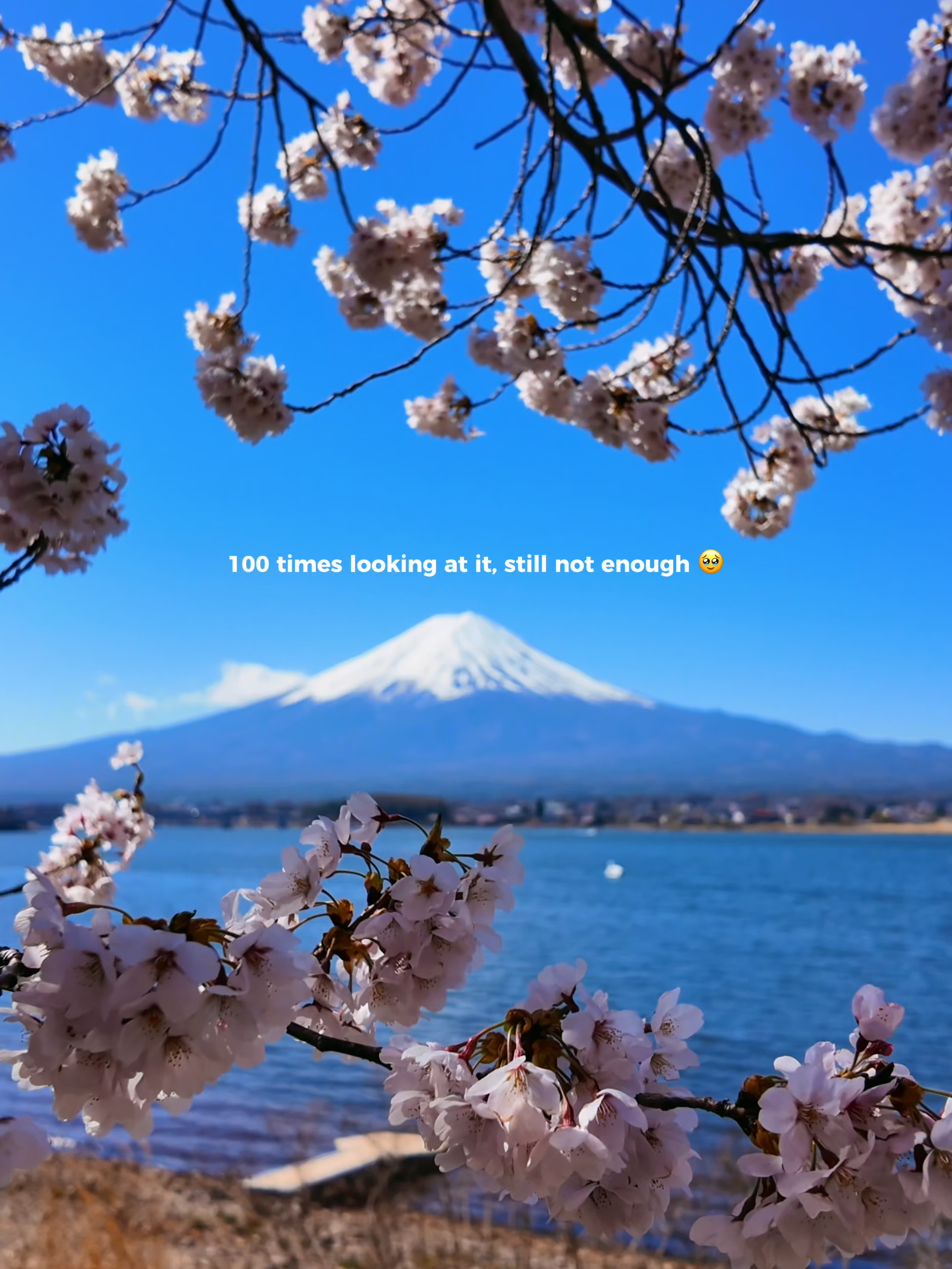 @Yamada | 1-Day Trip To Fuji