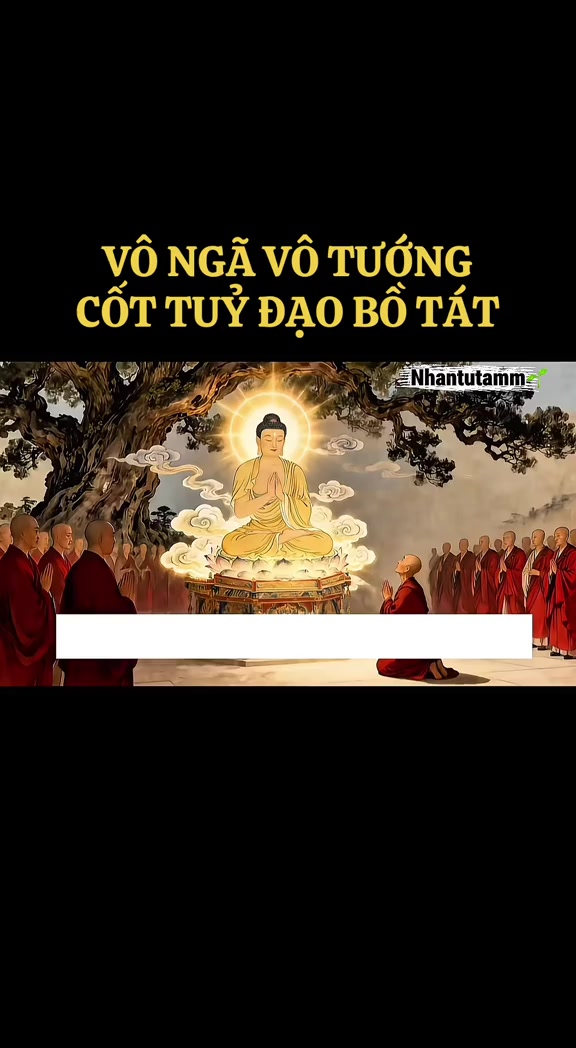 @Khoa