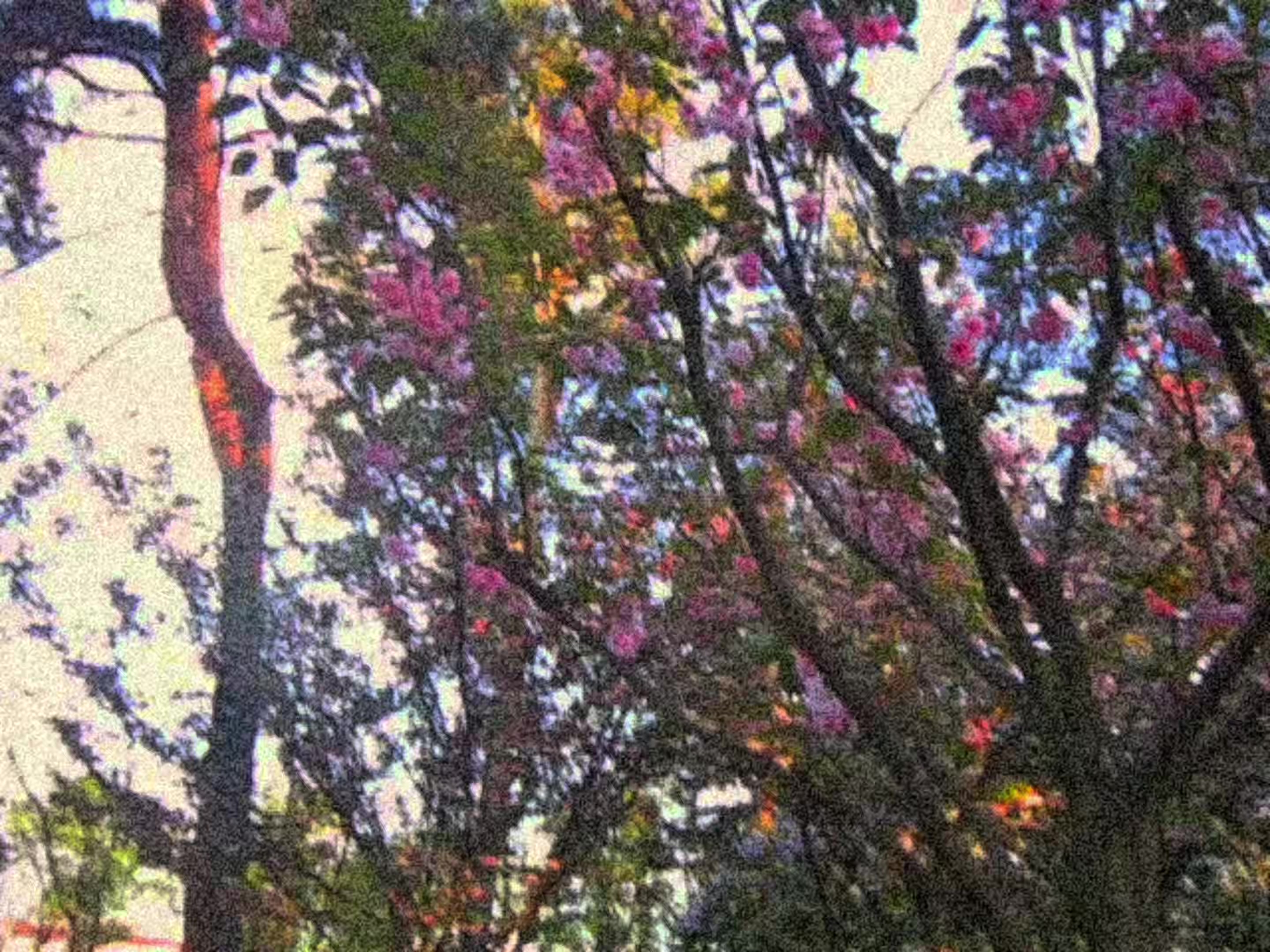 @pasha🍃// #communityreal