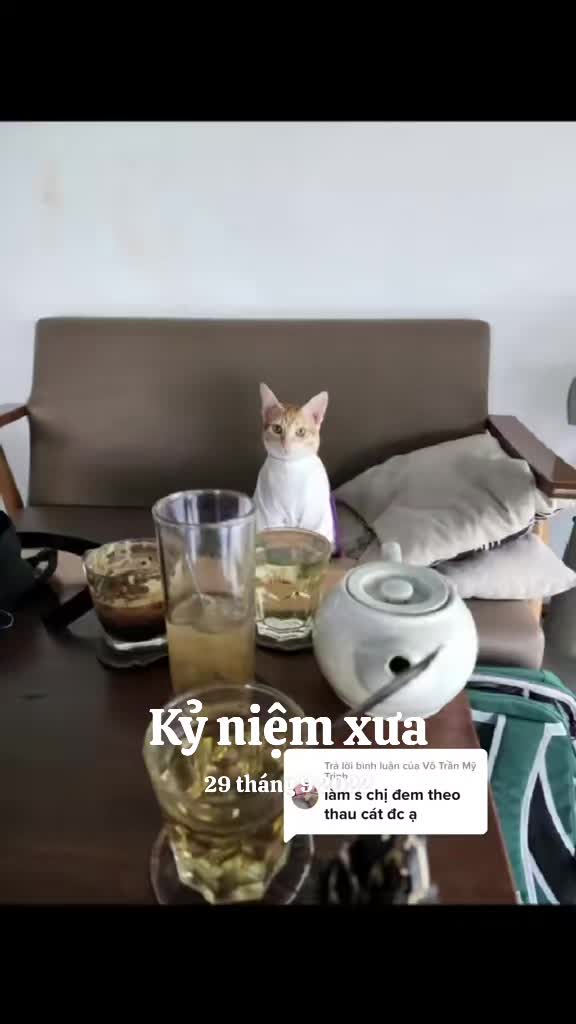@Khế thúi
