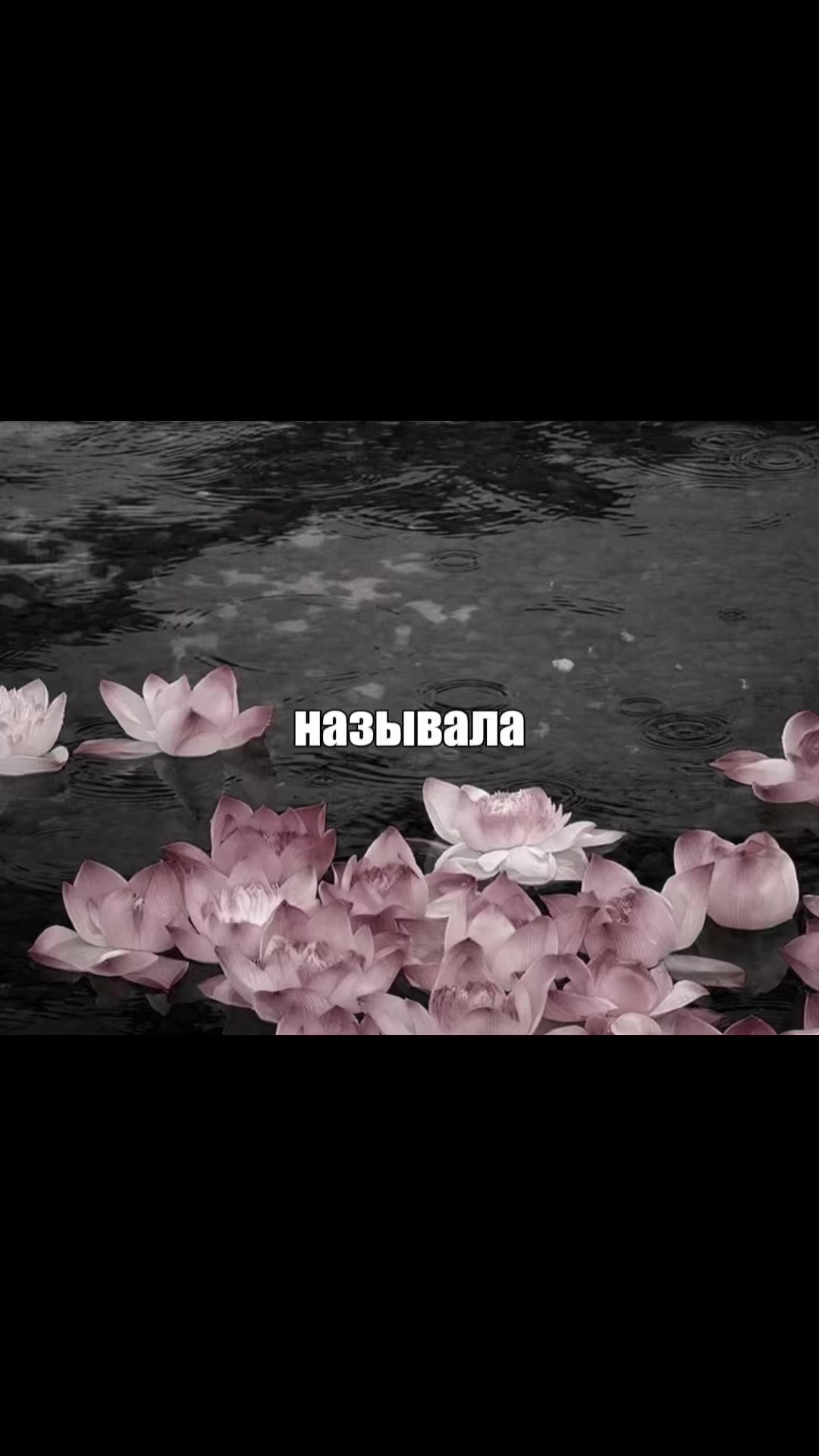 @убᴇᴩиᴛᴇ ᴀᴩбуɜ