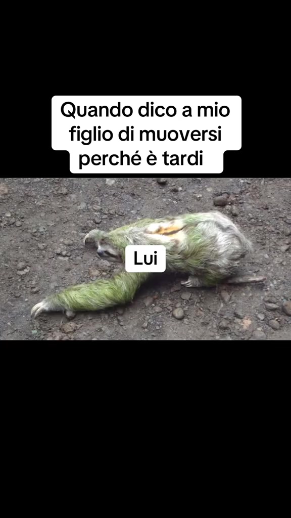 @ilmanu75