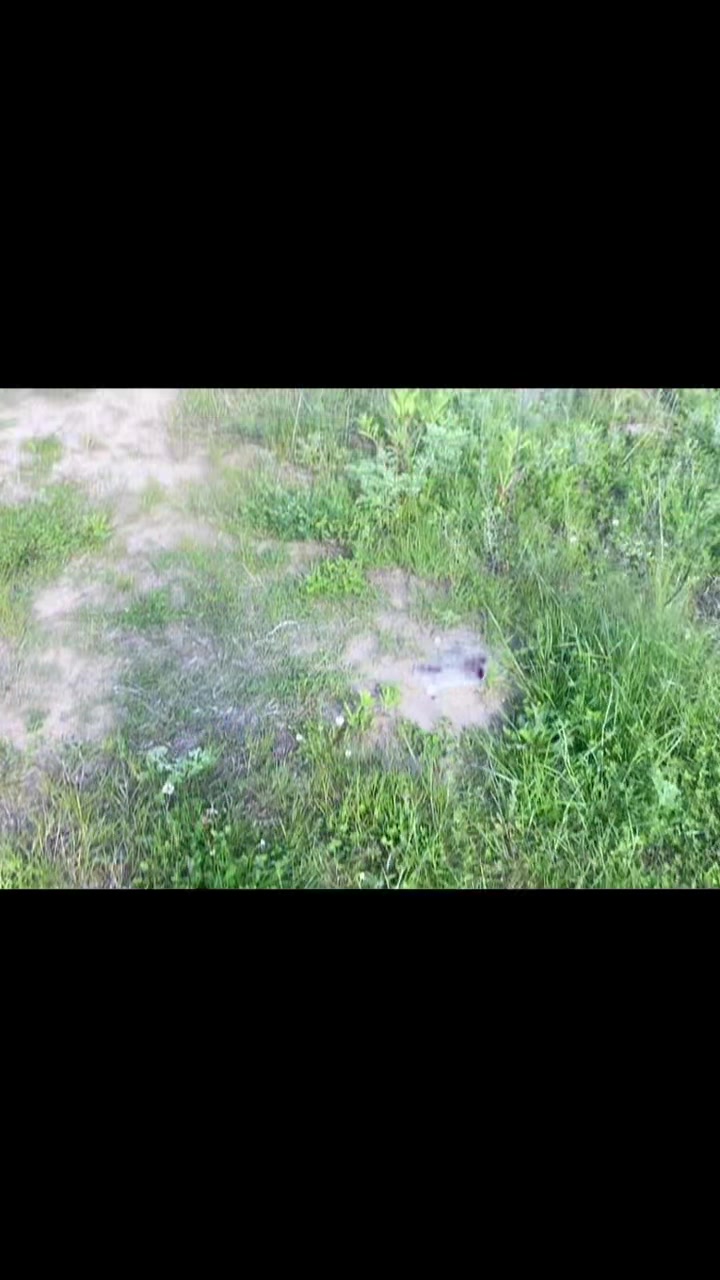 @катона✌🏻