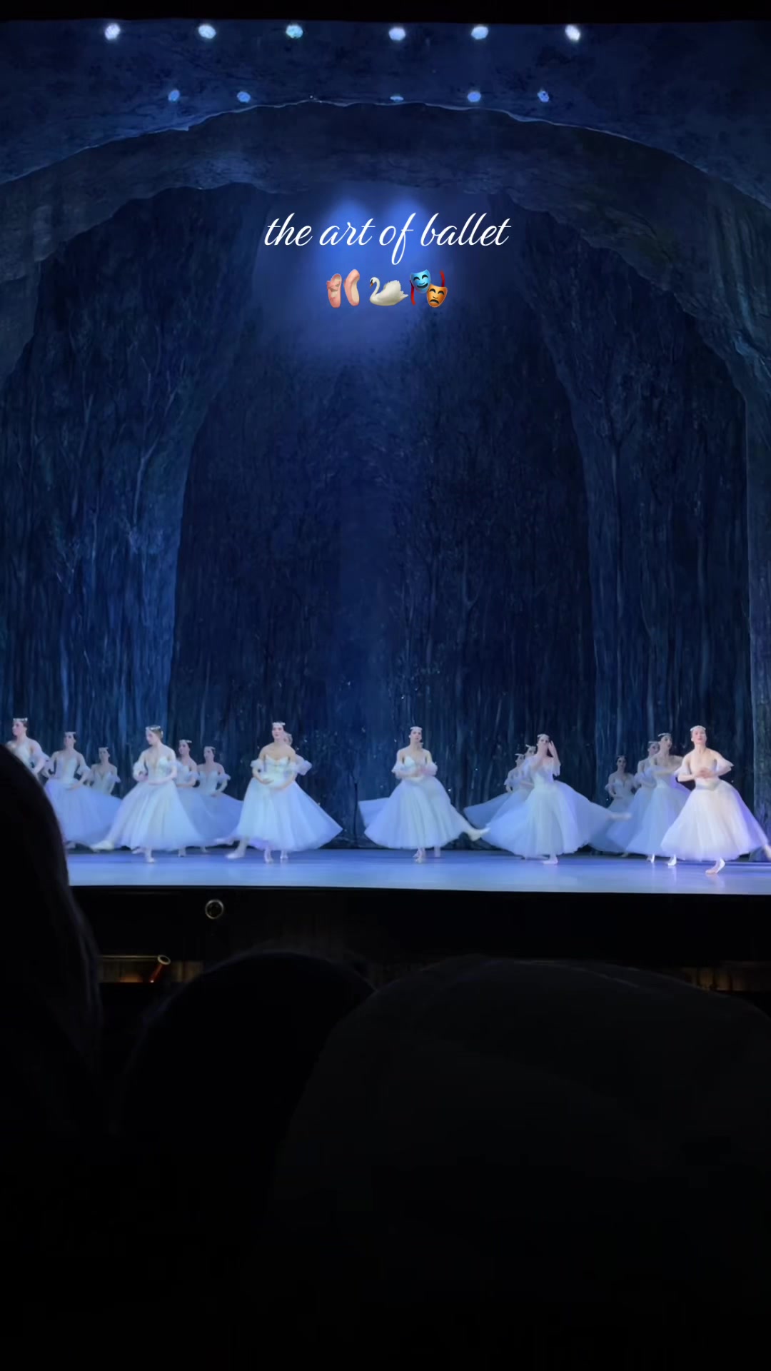 @black swan