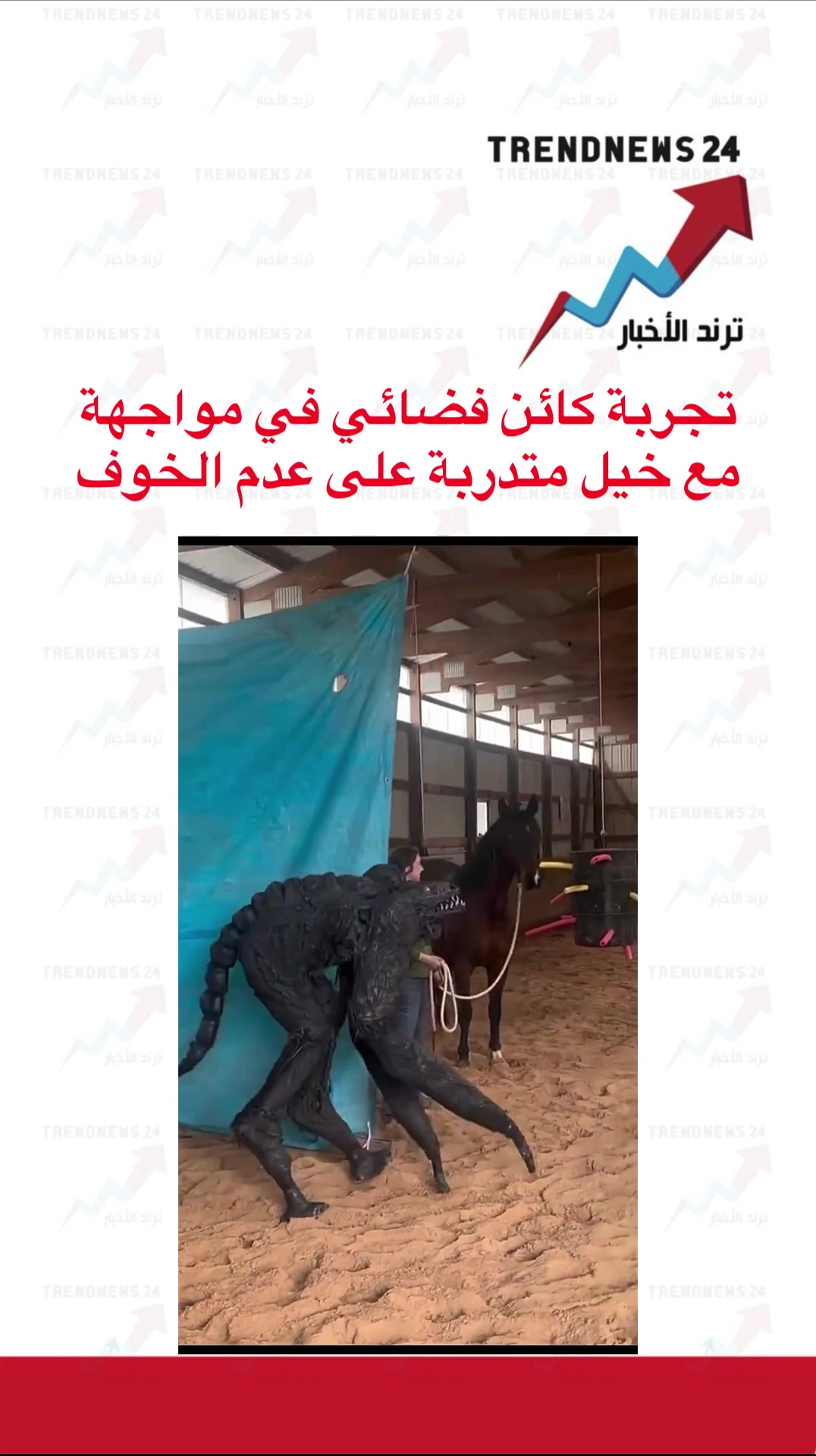@ترند الأخبار