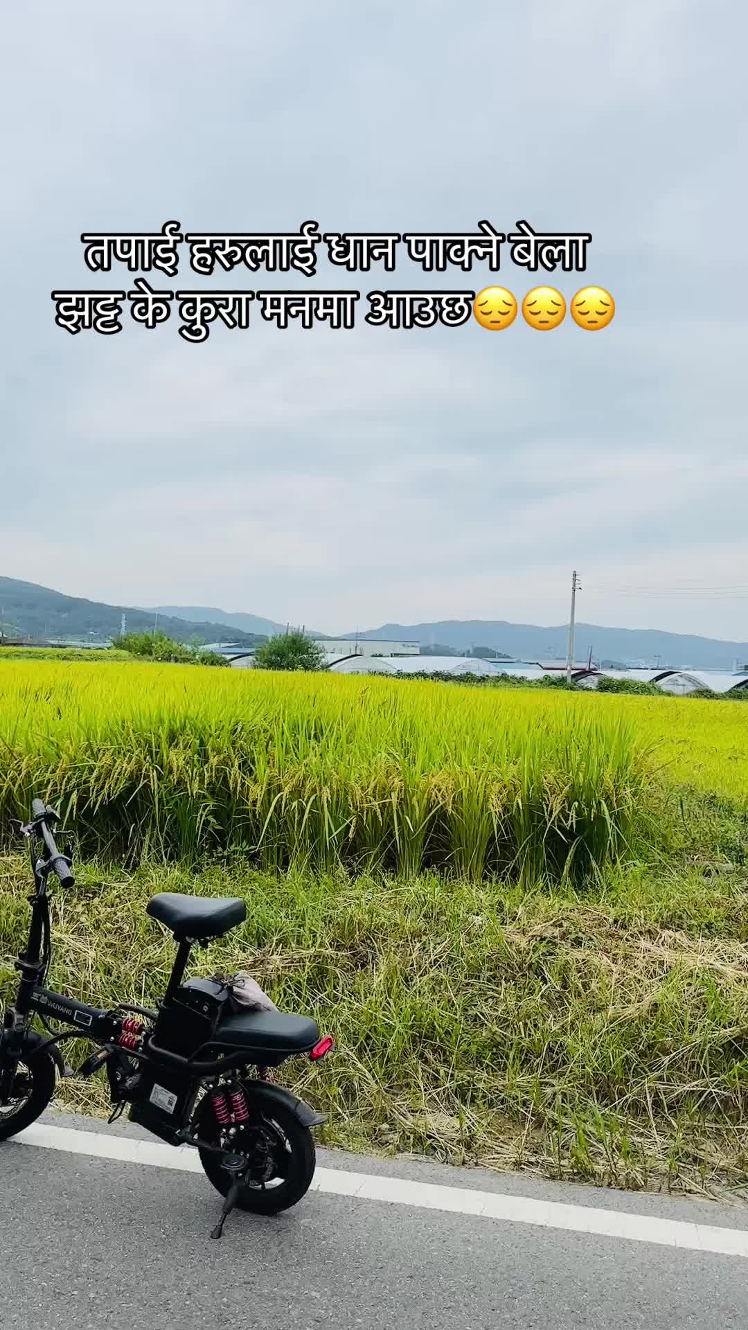 @Pradeep K cee 🇳🇵🇰🇷