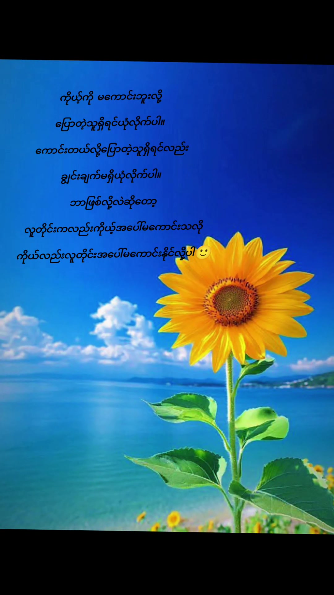 @PAN PHYU đ˛đ˛đŻđľ