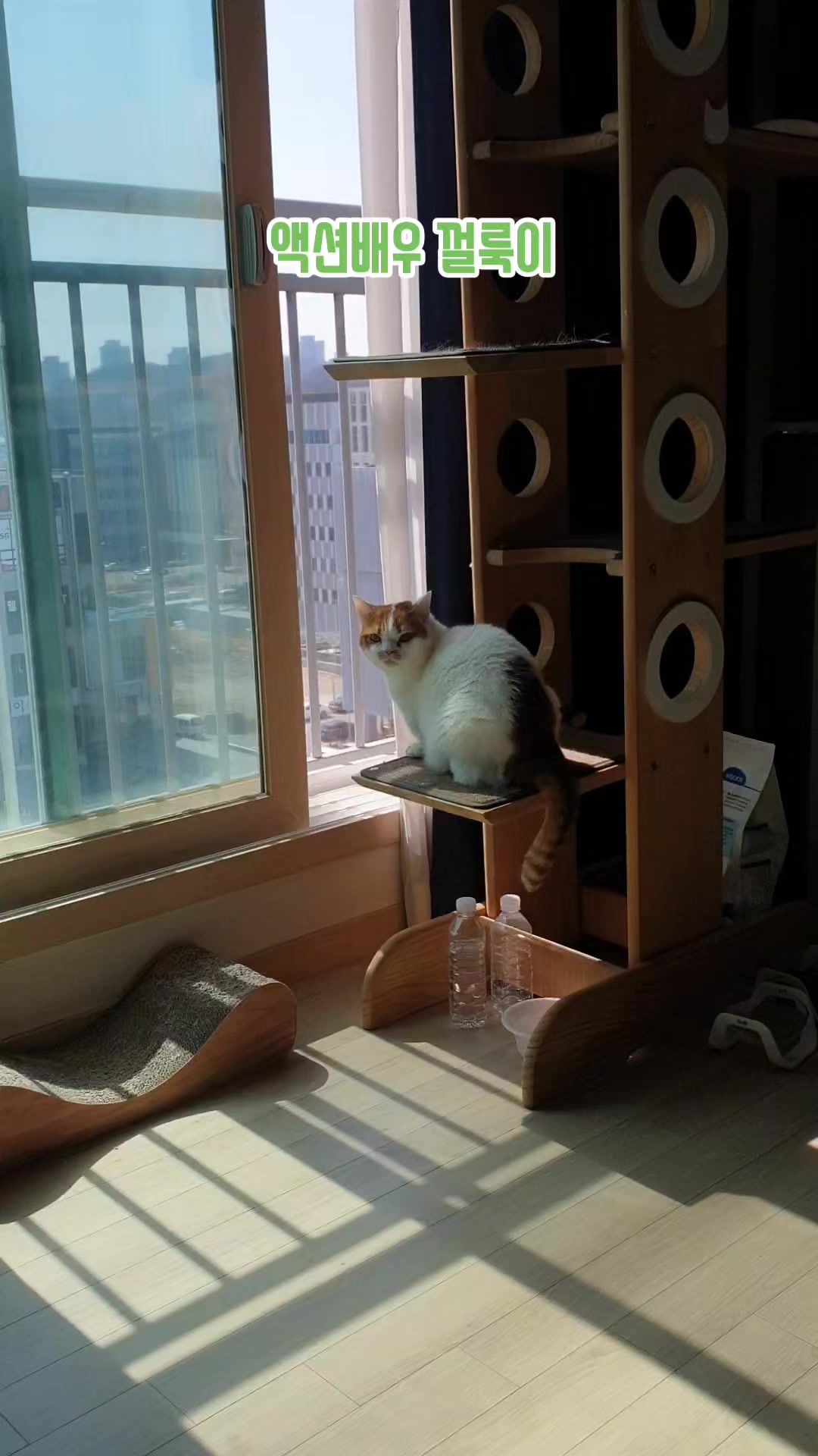 @이폭간