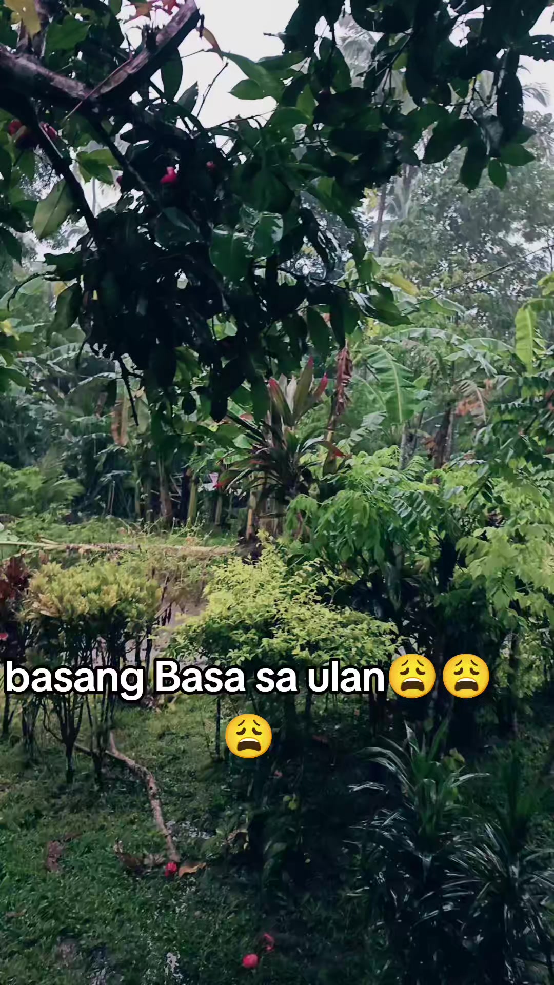 @ADM// Justine edit