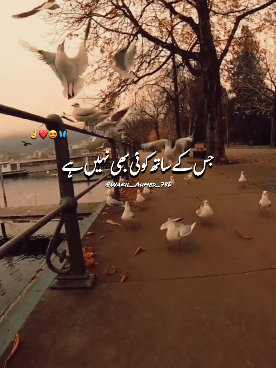 @wakilahmed