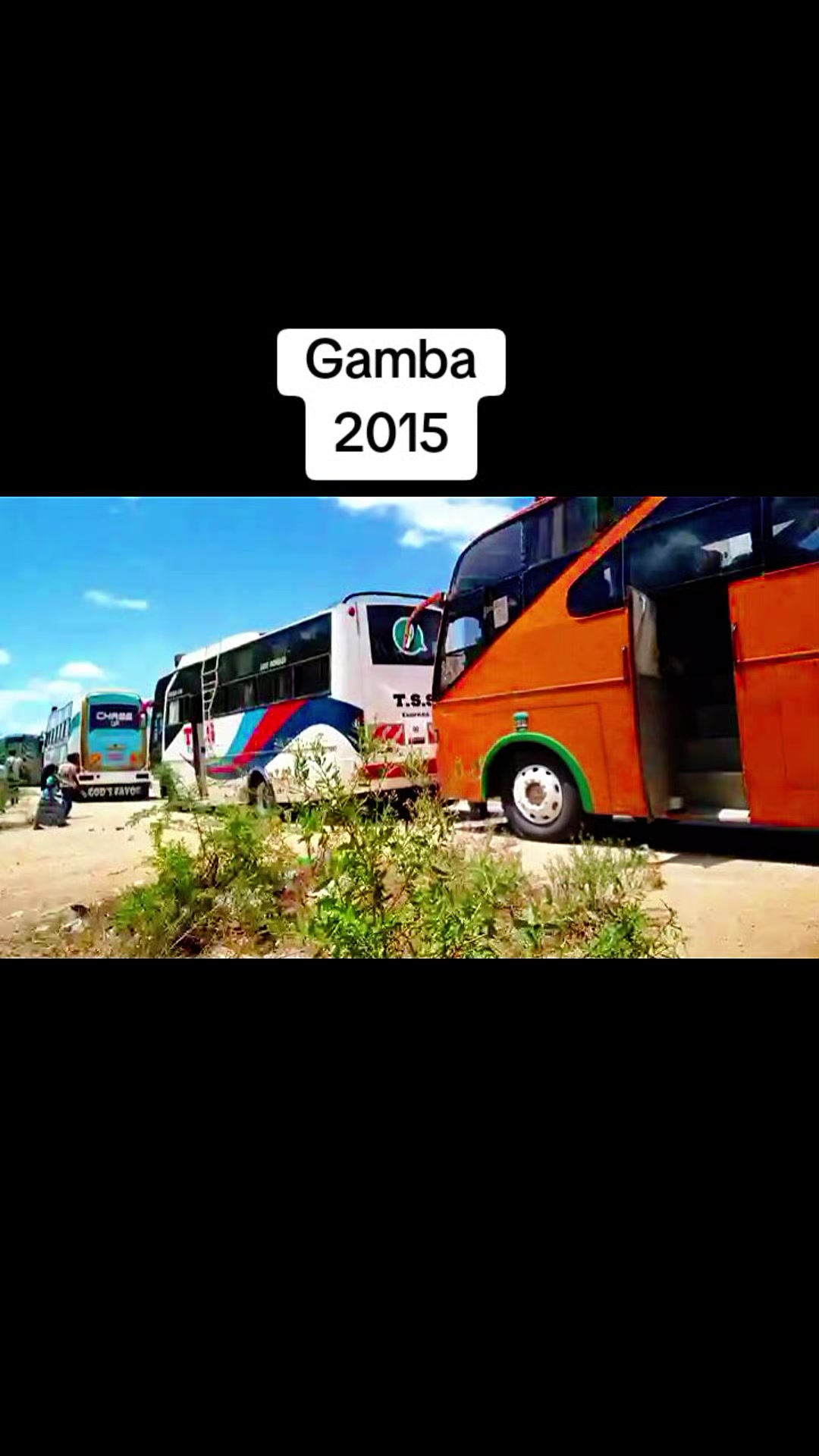 @️Bus Enthusiast Witu massive