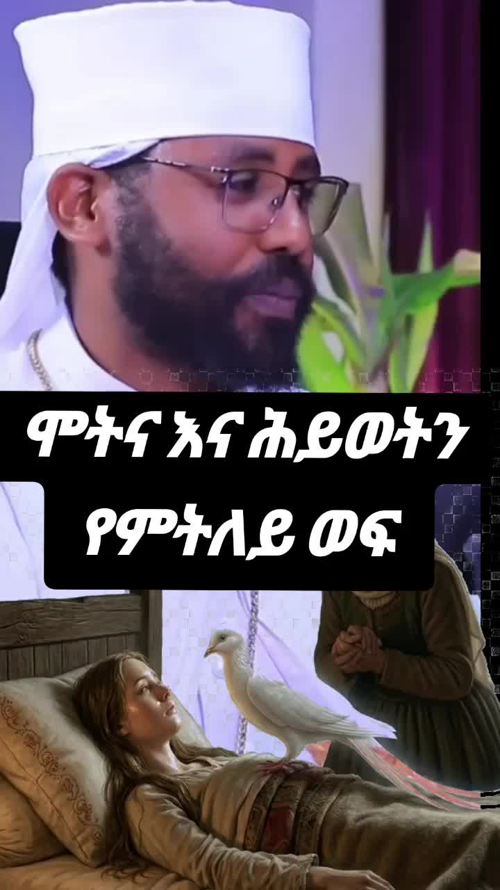 @Bin
