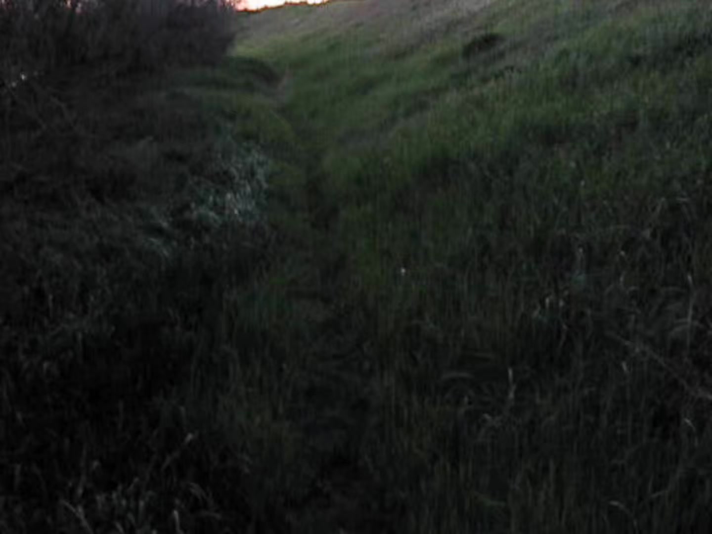 @viaje a ninguna parte