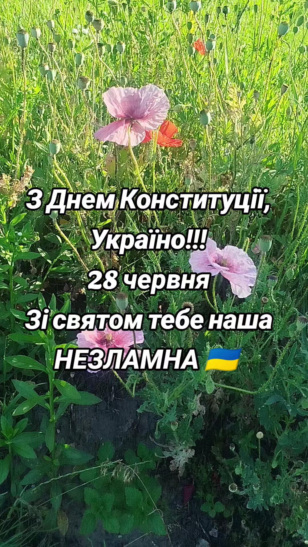 @N.A.S.T.U.S.Y.A💛💙