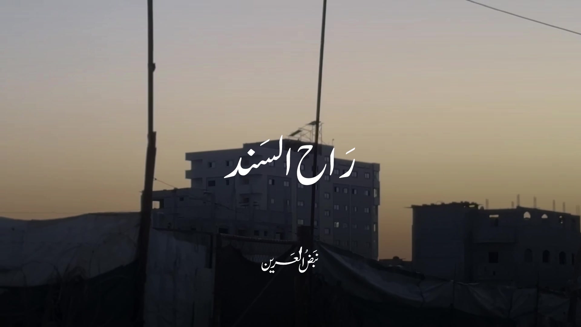 @نَبض العَرين 🔻