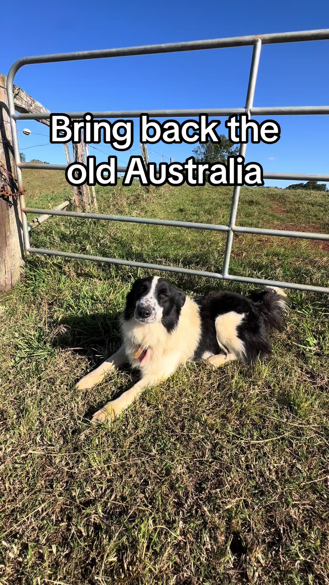 @🇦🇺AngloAussie🇬🇧