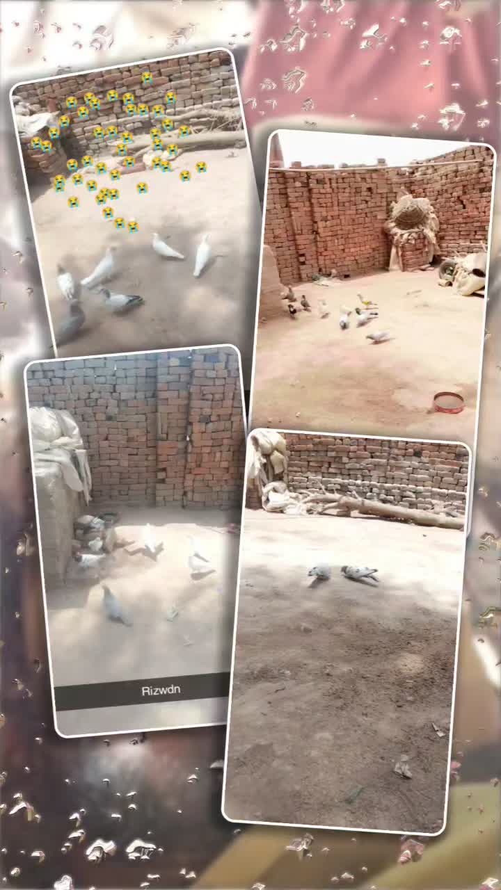 @03209598814