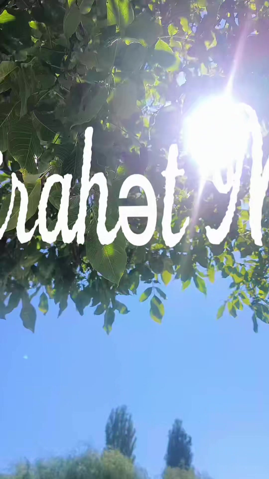 @turist istirahet merkezi