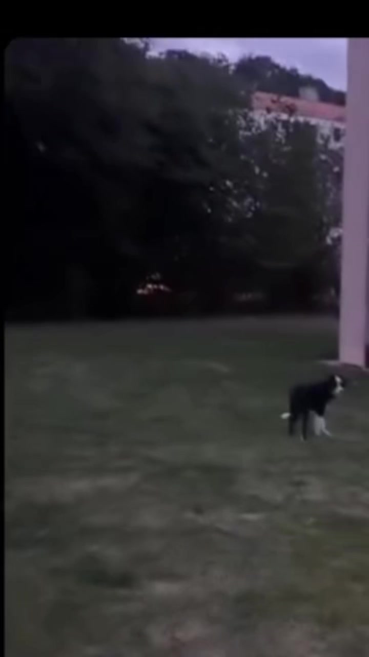@🐕Di Ana🐕