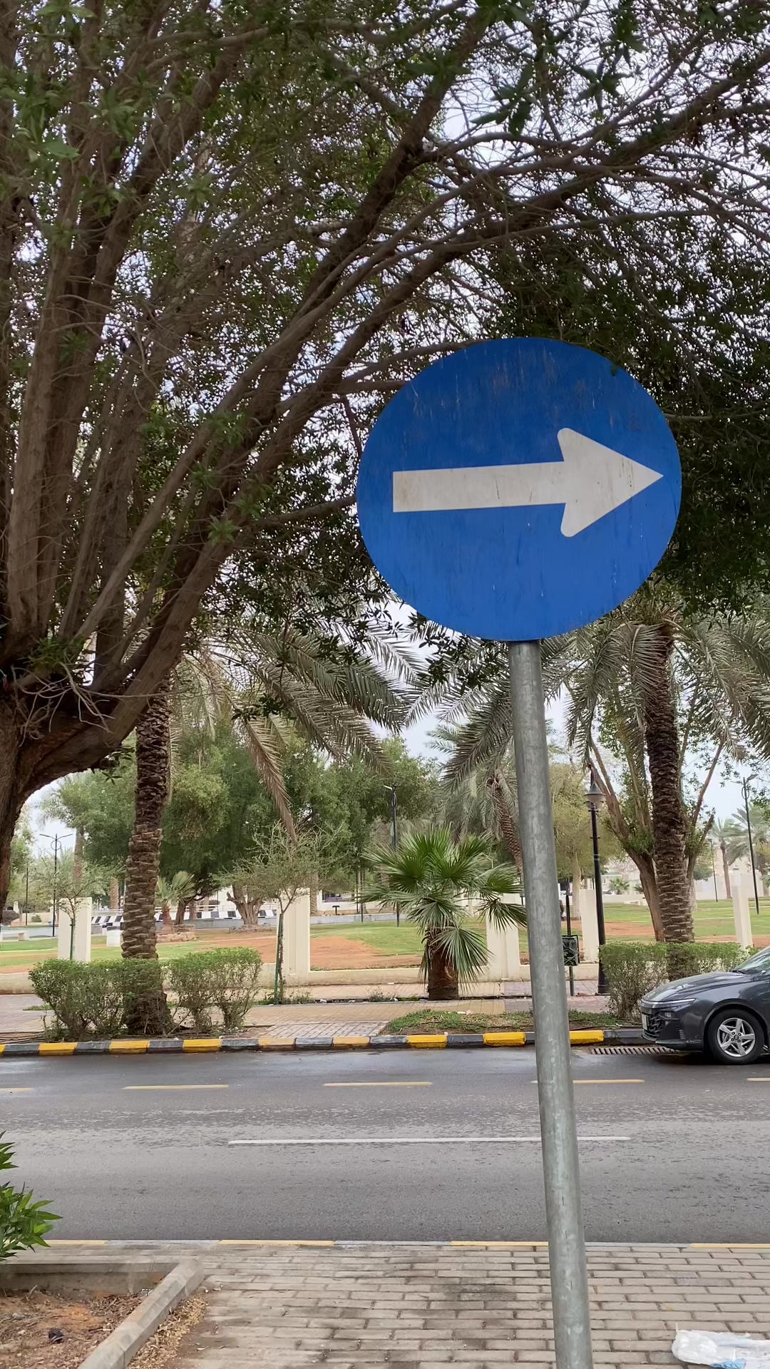 @راعي الرامبو🖤🖤