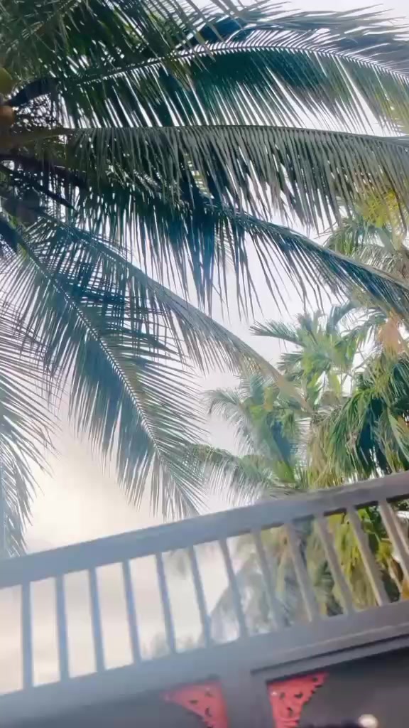 @ᴋᴅ_ᴅɪʟᴏᴊᴀɴ🔥🤘
