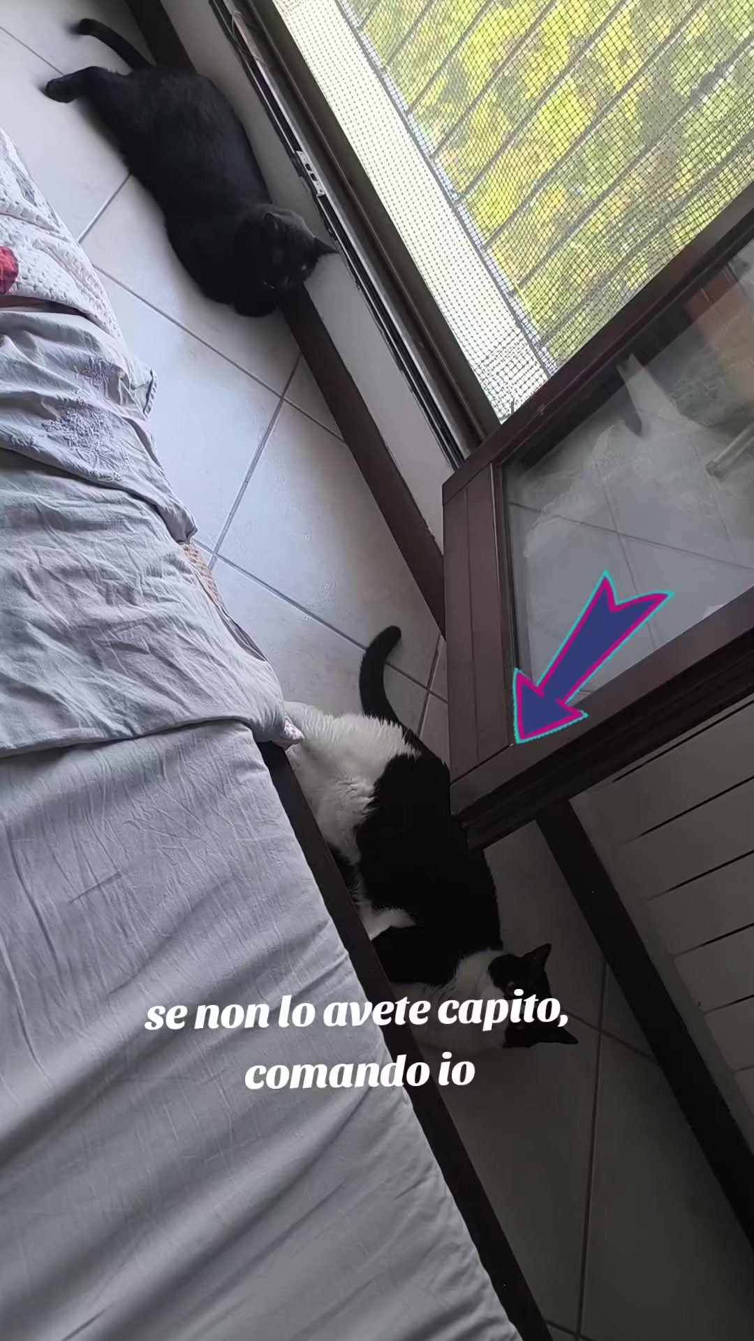 @Pina