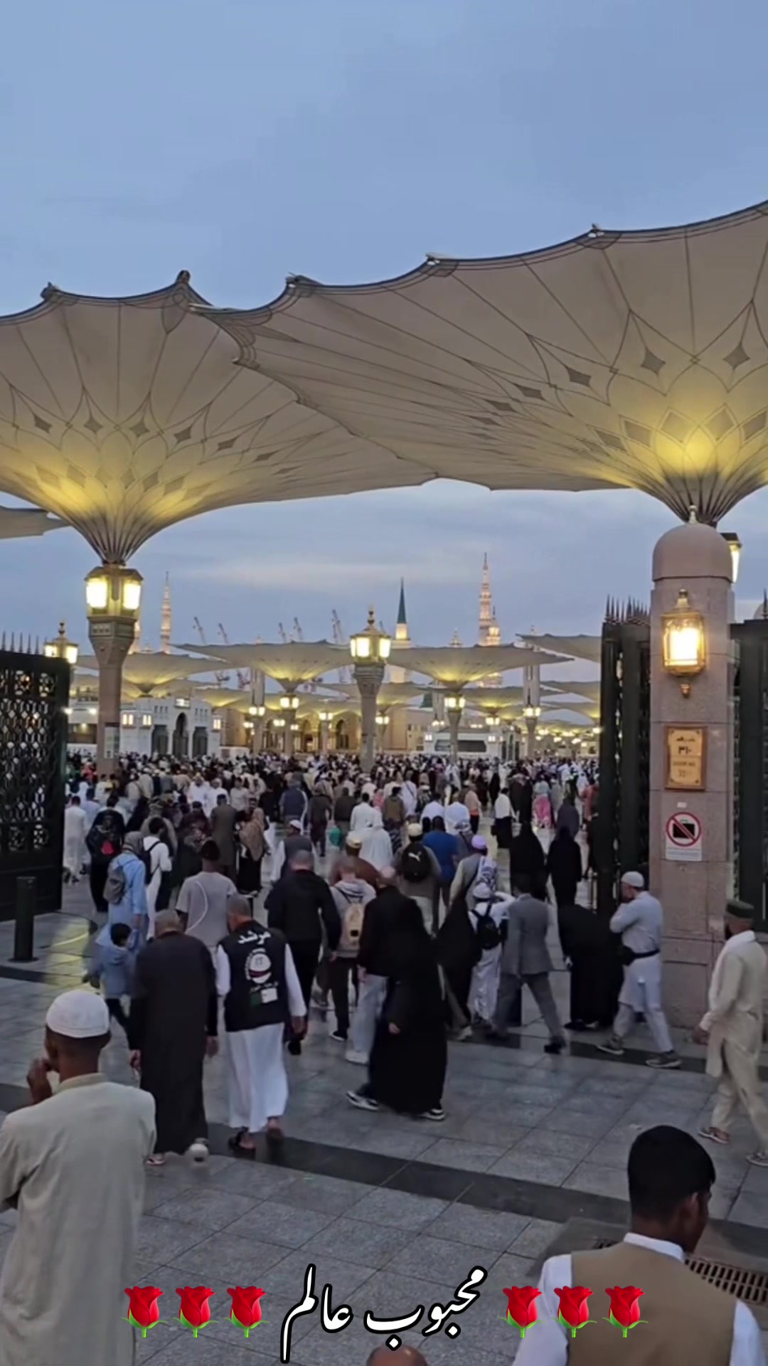 @محبوب عالم