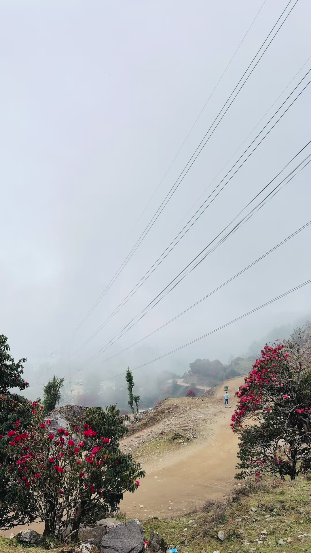 @Kaji gurung