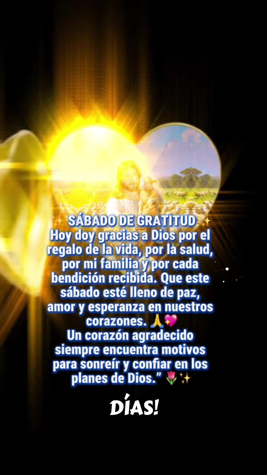 @Maria Sánchez358