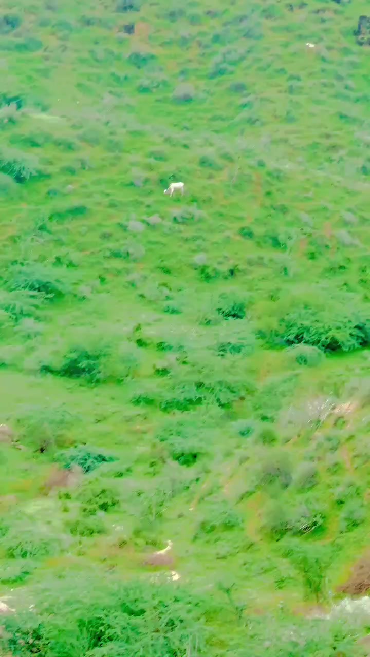 @🇭 🇦 🇸 🇸 🇦 🇳