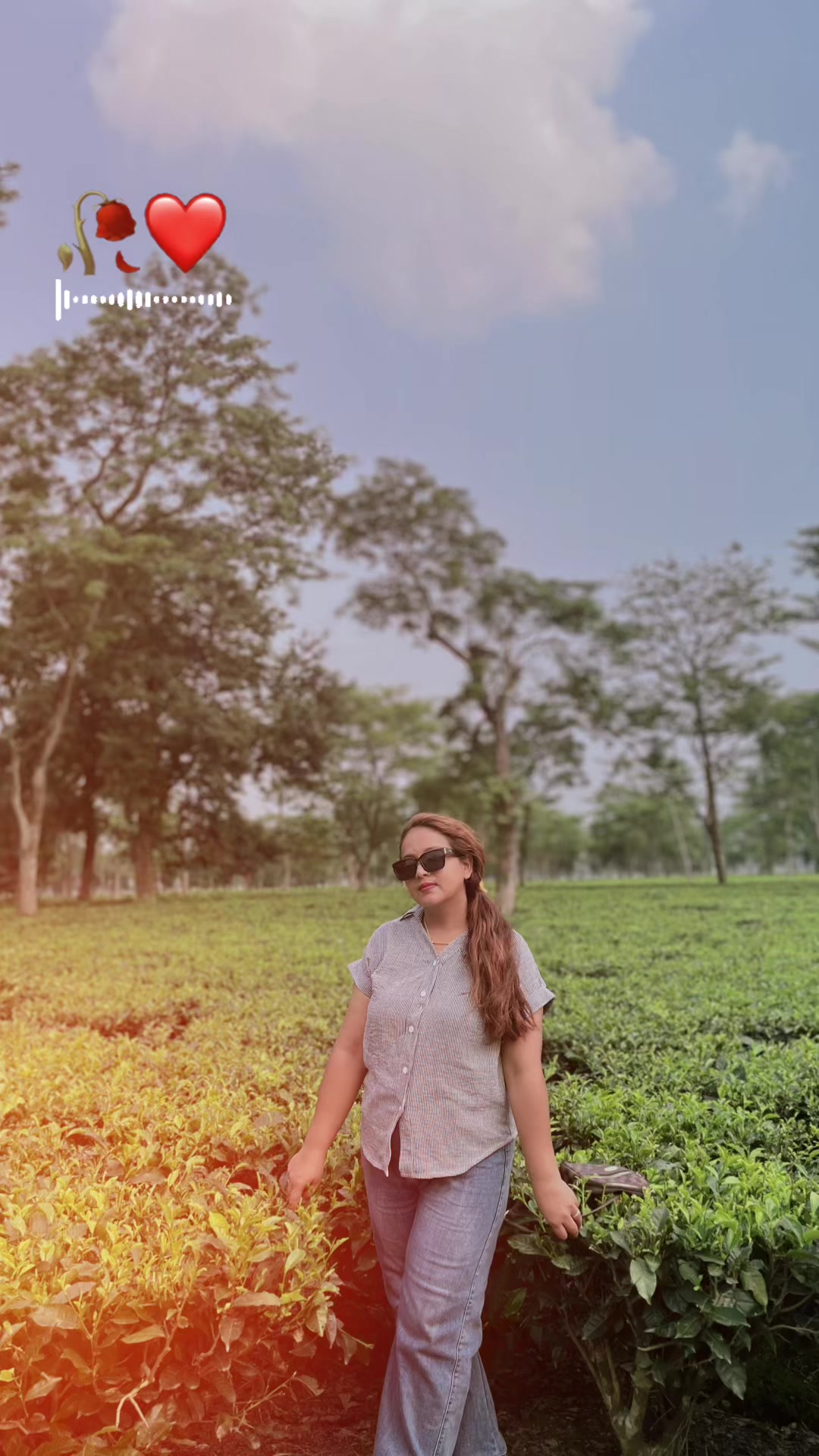 @shikhadhakalprasai