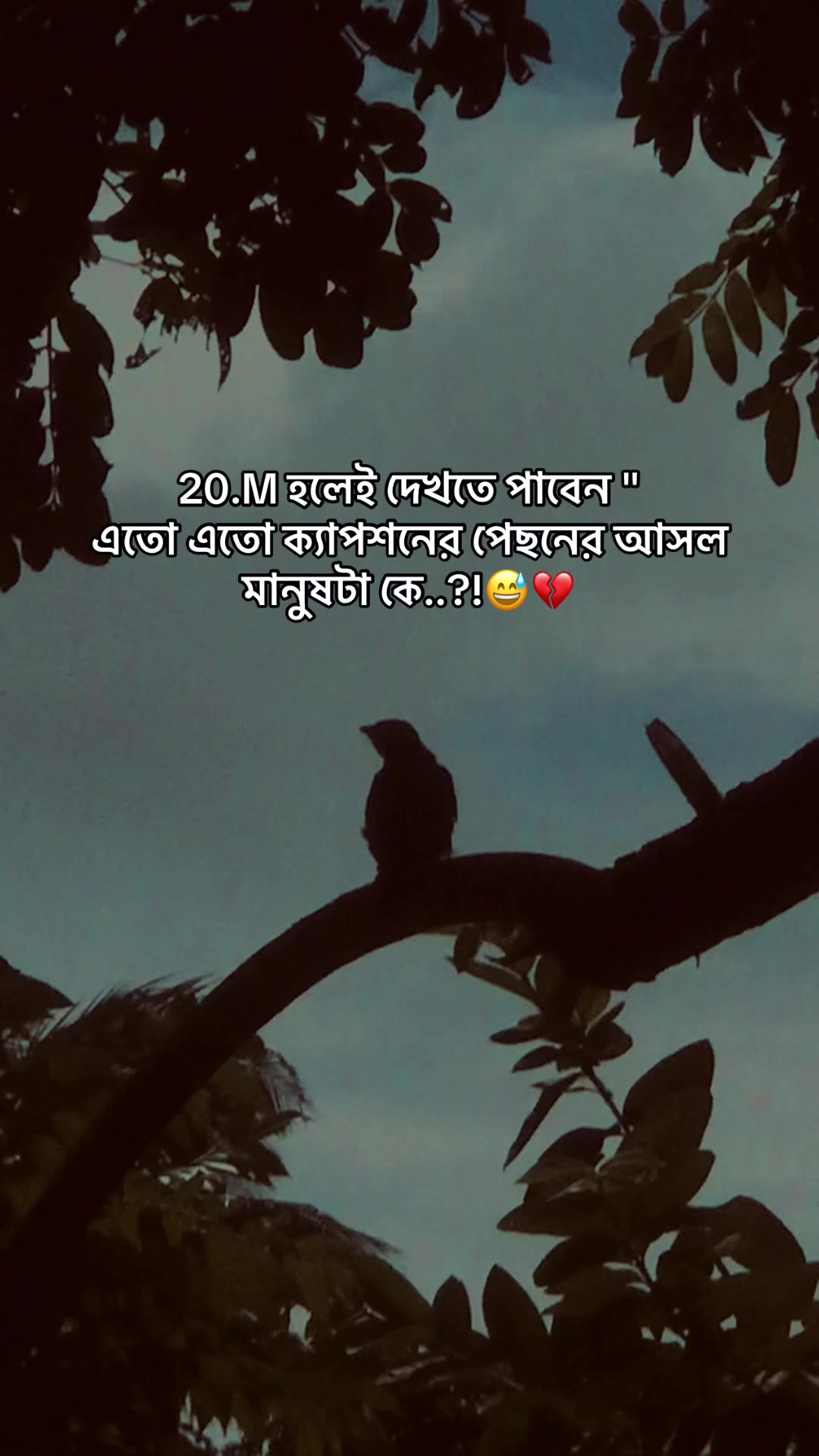 @the_spydoo🕸️ 🥏