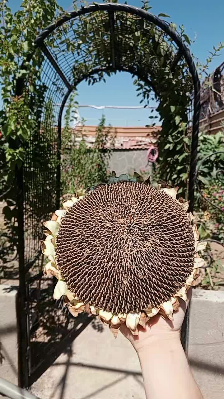 @ٰ