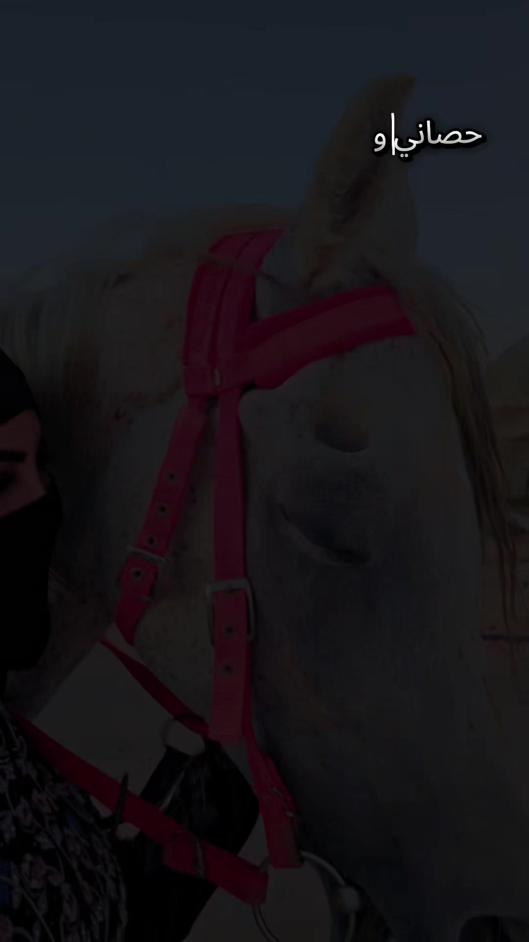 @الفارسة الملثمة 🐎🥷