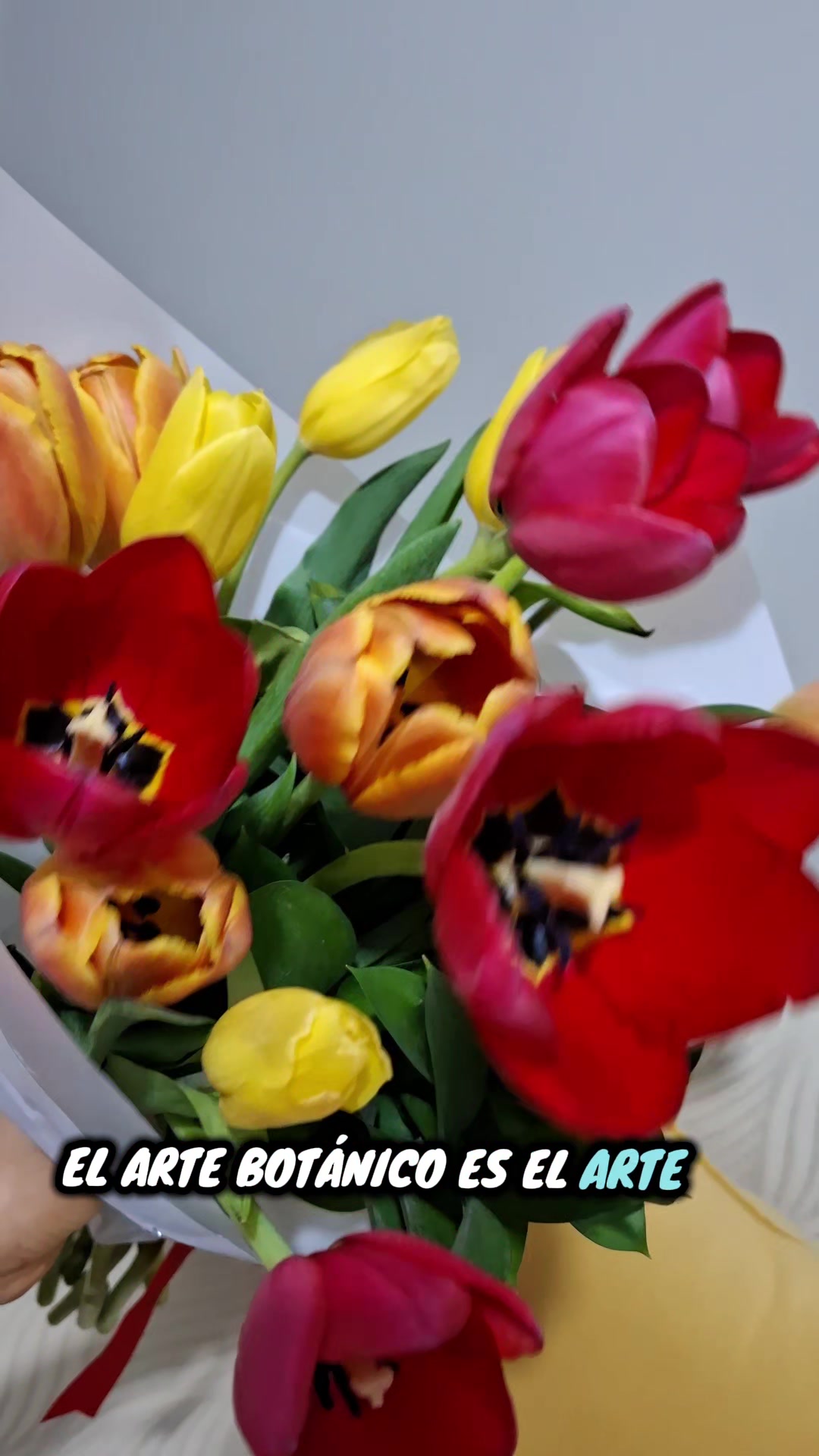 @~𝐀𝐫𝐞𝐧𝐚 Casa Floral