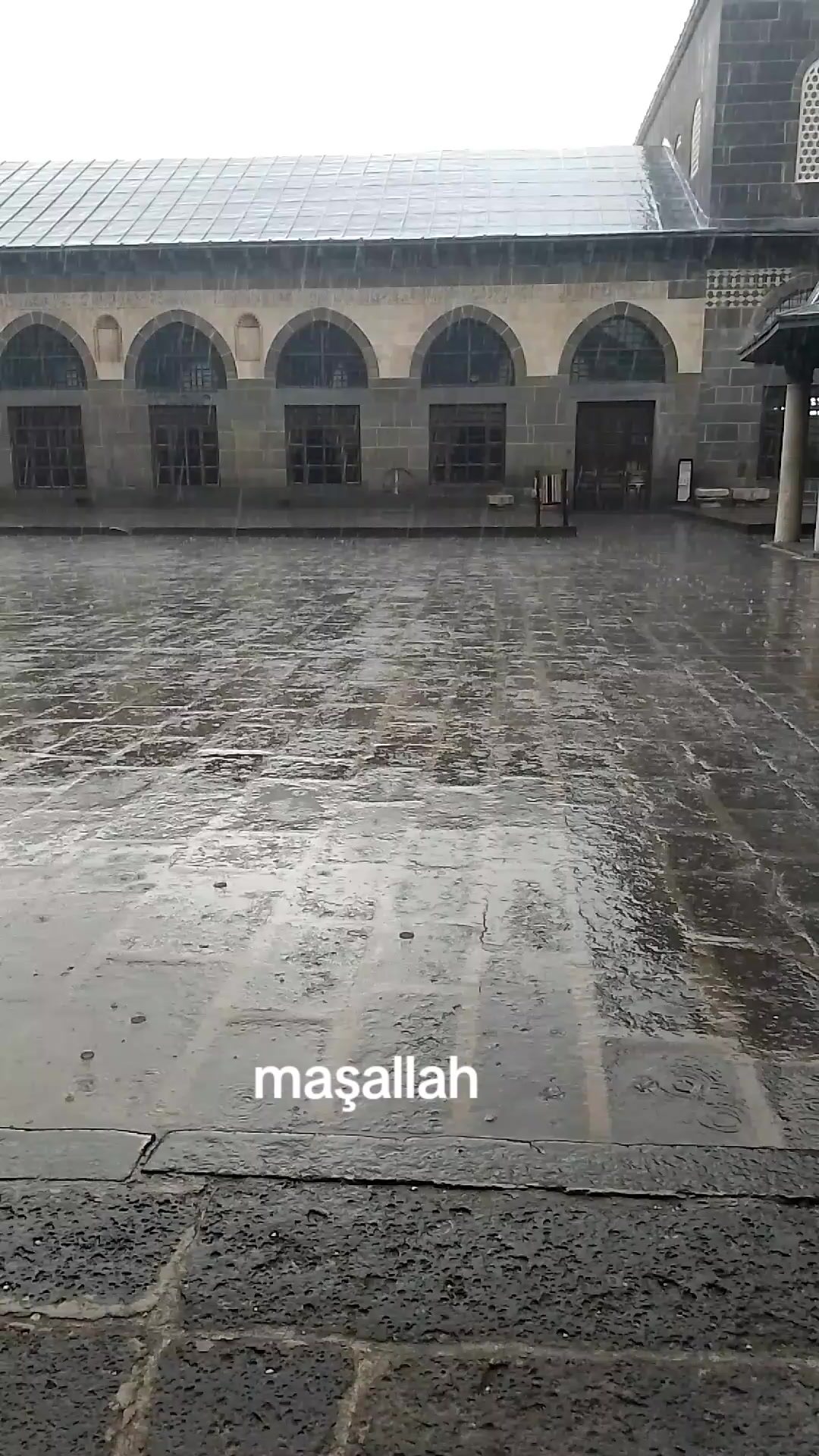 @&ccedil;etin tatar