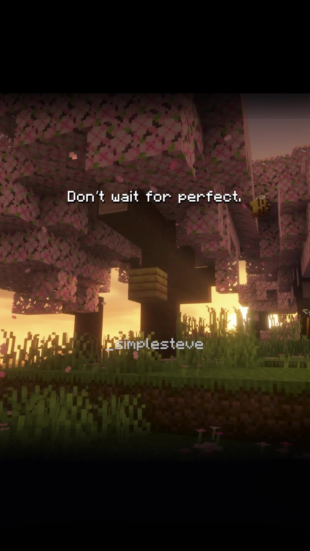 @_simplesteve