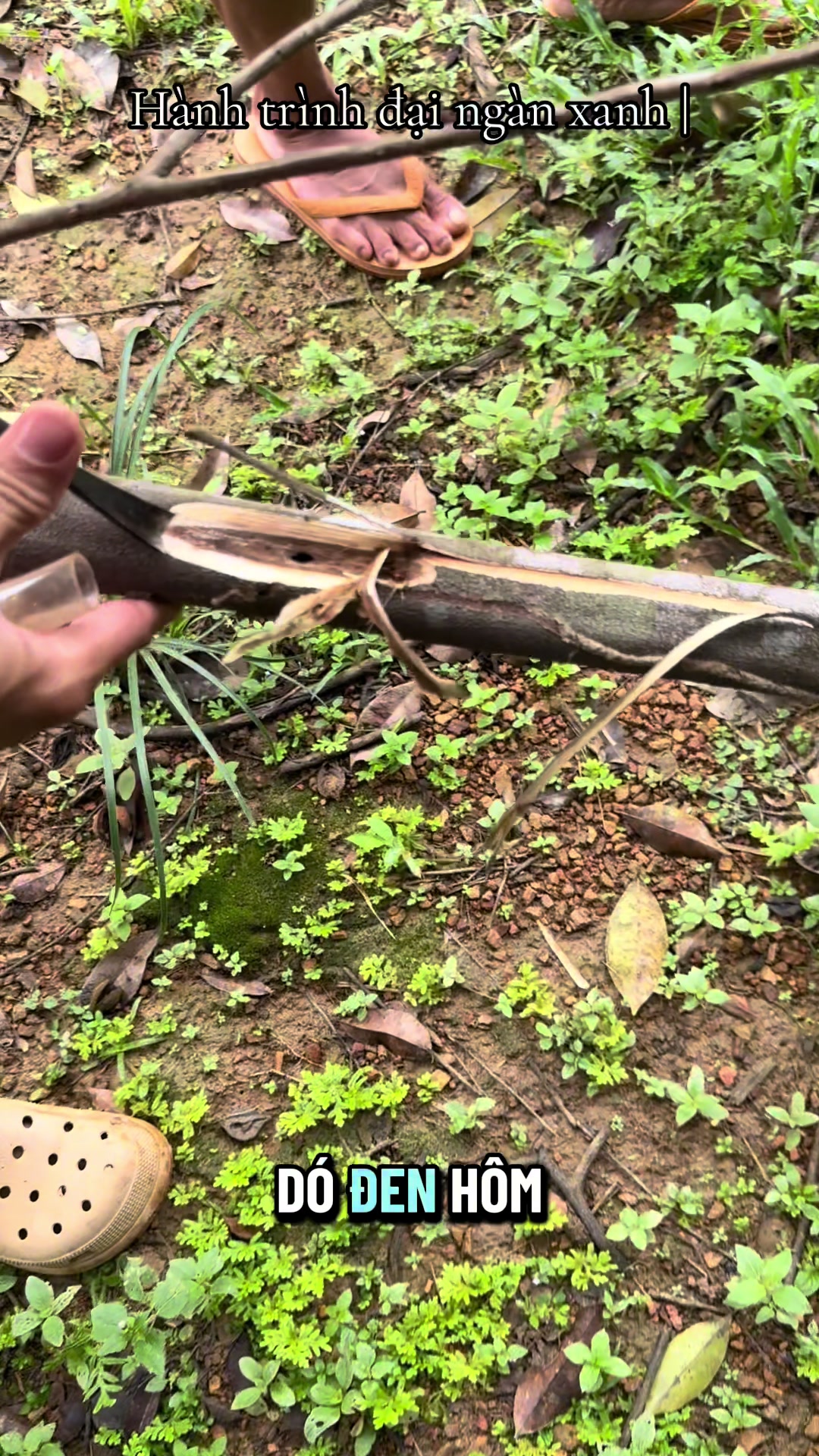 @Dó Đen Việt !