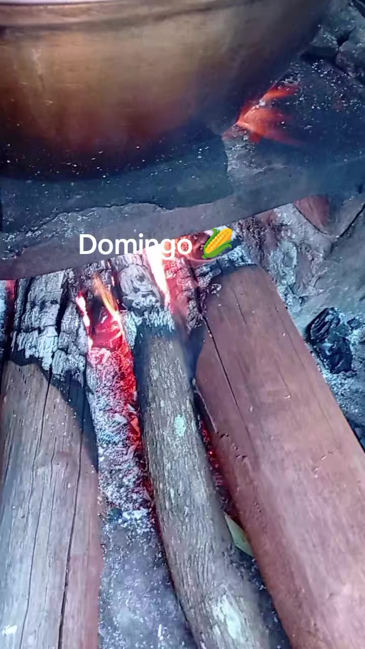 @Elisângela Araújo 💞
